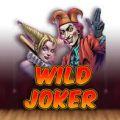 Wild Joker Casino