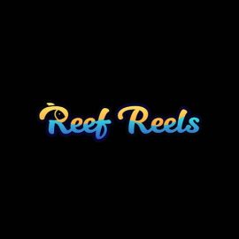 Reef Reels Casino