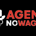 Agent NoWager Casino